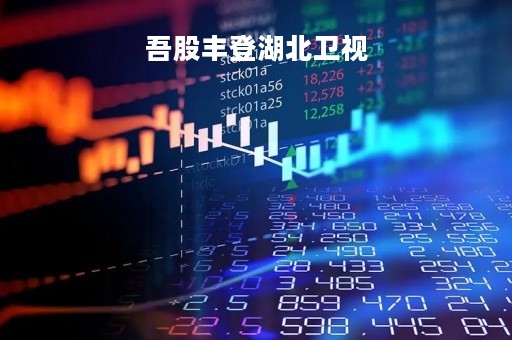 吾股丰登湖北卫视「湖北卫视吾股丰登视频」