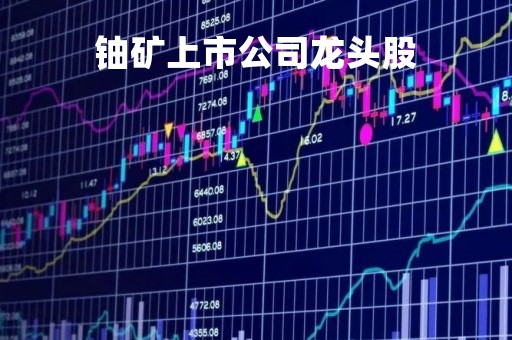 铀矿上市公司龙头股「铀矿上市公司龙头股票排名」