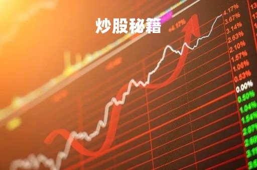 炒股秘籍「炒股秘籍只炒一只股」