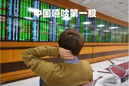 中国嘻哈第一股「中国嘻哈第一名」