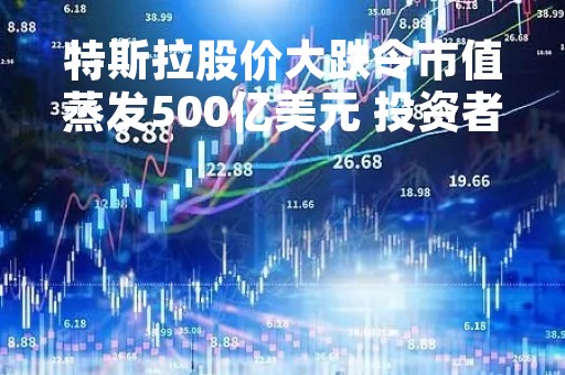 特斯拉股价大跌令市值蒸发500亿美元 投资者日不提新车让市场失望