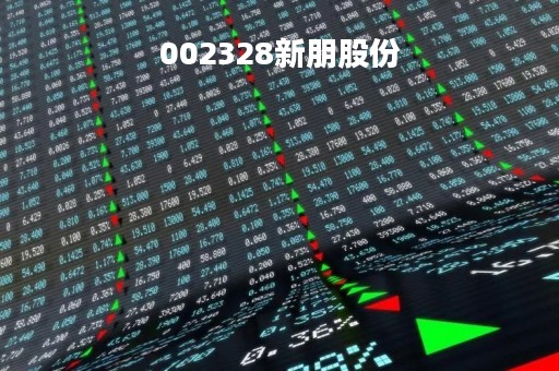 002328新朋股份「002328 新朋股份」