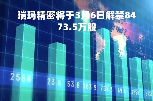 瑞玛精密将于3月6日解禁8473.5万股