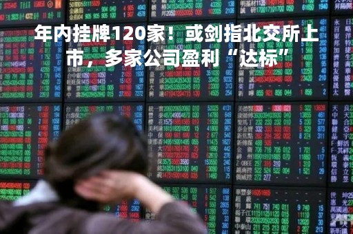 年内挂牌120家！或剑指北交所上市，多家公司盈利“达标”