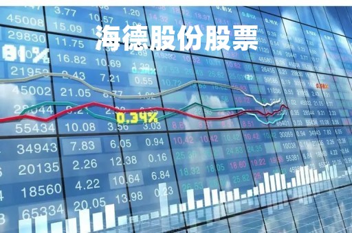 海德股份股票「海德股份公司简介」