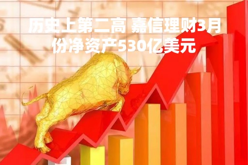历史上第二高 嘉信理财3月份净资产530亿美元