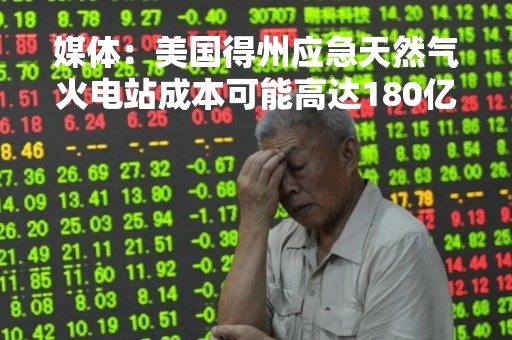 媒体：美国得州应急天然气火电站成本可能高达180亿美元
