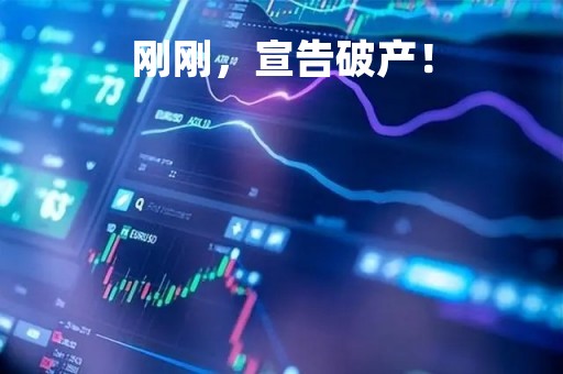 刚刚，宣告破产！