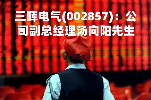 三晖电气(002857)：公司副总经理汤向阳先生辞职