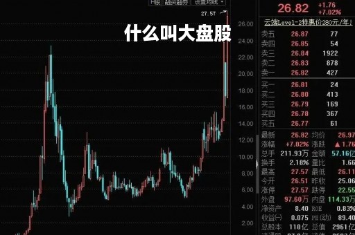 什么叫大盘股「什么叫大盘股票」