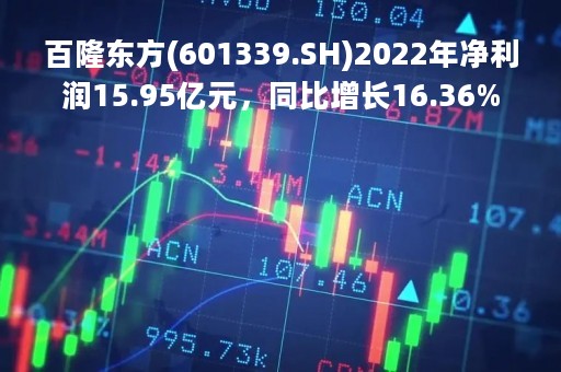 百隆东方(601339.SH)2022年净利润15.95亿元，同比增长16.36%