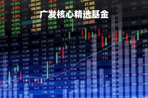 广发核心精选基金