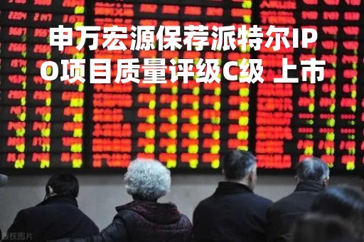 申万宏源保荐派特尔IPO项目质量评级C级 上市首年业绩“大变脸”