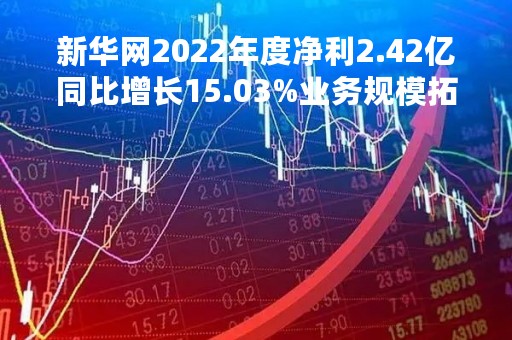 新华网2022年度净利2.42亿同比增长15.03%业务规模拓展