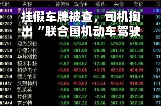 挂假车牌被查，司机掏出“联合国机动车驾驶证”