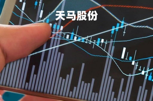 天马股份「天马股份什么时候摘帽的」