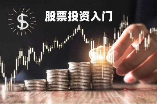 股票投资入门「新手怎么投资股票」