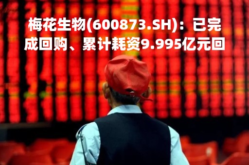 梅花生物(600873.SH)：已完成回购、累计耗资9.995亿元回购3.26%的股份