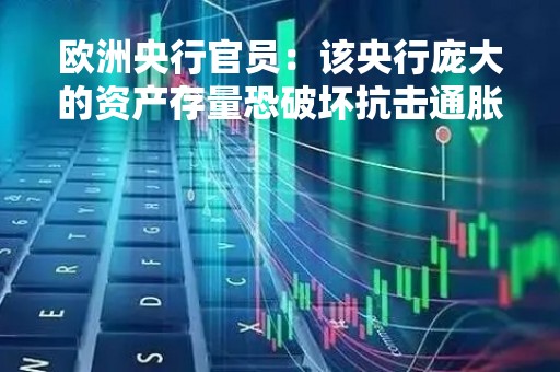 欧洲央行官员：该央行庞大的资产存量恐破坏抗击通胀的努力