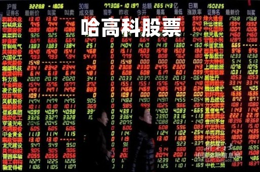 哈高科股票「哈高科股票600095」