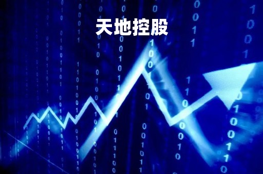 天地控股「天地控股赵志军怎么了」