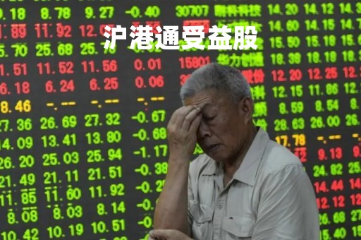 沪港通受益股「沪港通 持股明细」