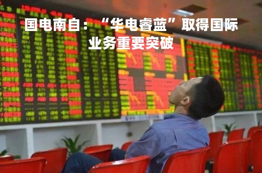 国电南自：“华电睿蓝”取得国际业务重要突破