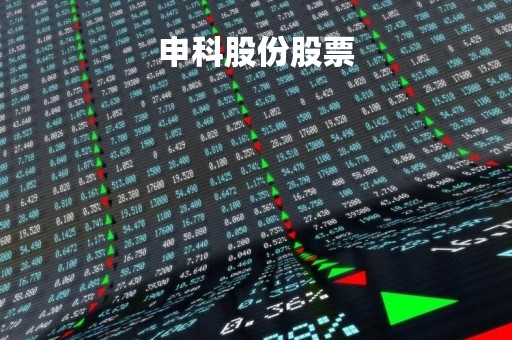 申科股份股票「申科股份公司简介」