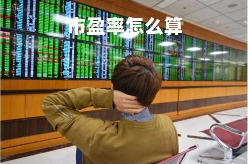 市盈率怎么算「市盈率多少才合理」