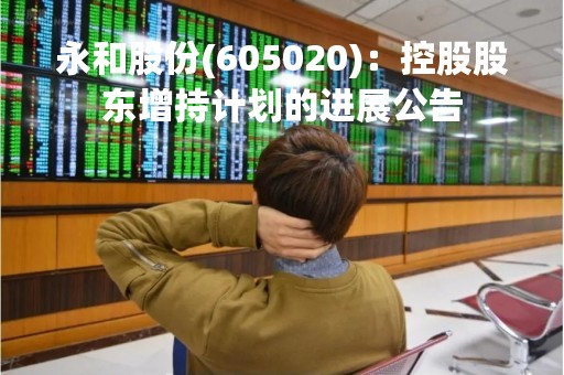 永和股份(605020)：控股股东增持计划的进展公告