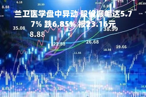 兰卫医学盘中异动 股价振幅达5.77% 跌6.85% 报23.16元