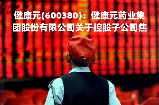 健康元(600380)：健康元药业集团股份有限公司关于控股子公司焦作健康元与金冠电力日常关联交易的公告