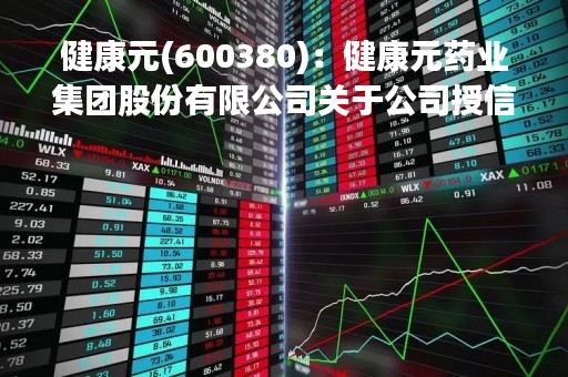健康元(600380)：健康元药业集团股份有限公司关于公司授信融资及为下属子公司提供融资担保的公告