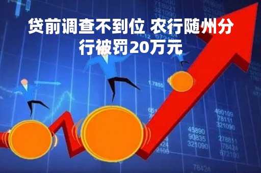 贷前调查不到位 农行随州分行被罚20万元