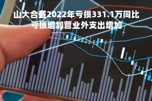 山大合盛2022年亏损331.1万同比亏损增加营业外支出增加