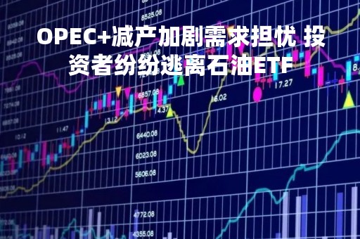 OPEC+减产加剧需求担忧 投资者纷纷逃离石油ETF