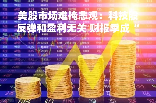美股市场难掩悲观：科技股反弹和盈利无关 财报季成“照妖镜”？
