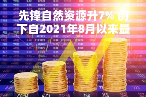 先锋自然资源升7% 创下自2021年8月以来最大日内涨幅