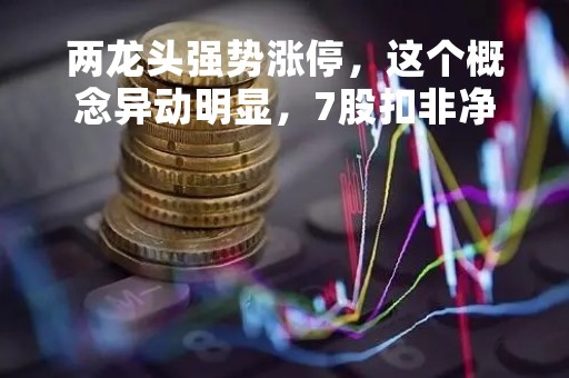 两龙头强势涨停，这个概念异动明显，7股扣非净利连续3年增长