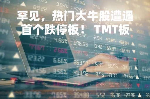 罕见,热门大牛股遭遇首个跌停板! TMT板块蒸发市值超5800亿元,北上资金出手减持这些股