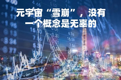 元宇宙“雪崩”，没有一个概念是无辜的