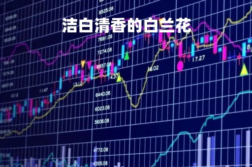 洁白清香的白兰花