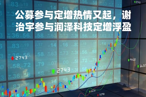 公募参与定增热情又起，谢治宇参与润泽科技定增浮盈90%，广发、华夏定增总额均超10亿