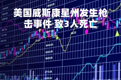 美国威斯康星州发生枪击事件 致3人死亡