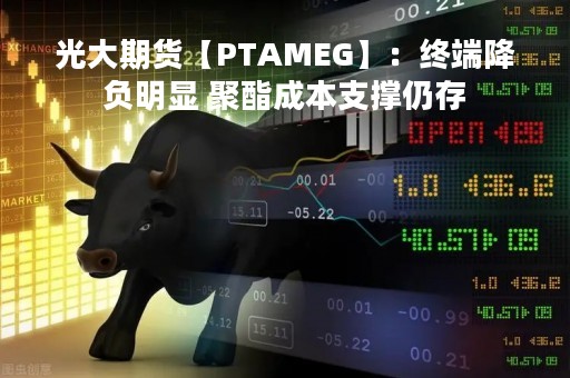 光大期货【PTAMEG】：终端降负明显 聚酯成本支撑仍存