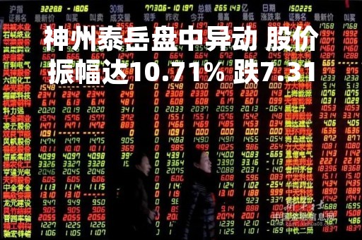 神州泰岳盘中异动 股价振幅达10.71% 跌7.31% 报11.15元