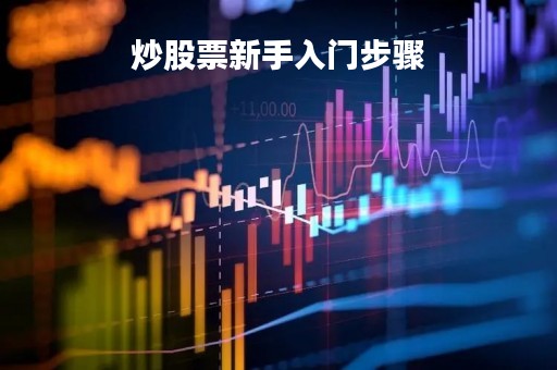 炒股票新手入门步骤「炒股怎么炒的」