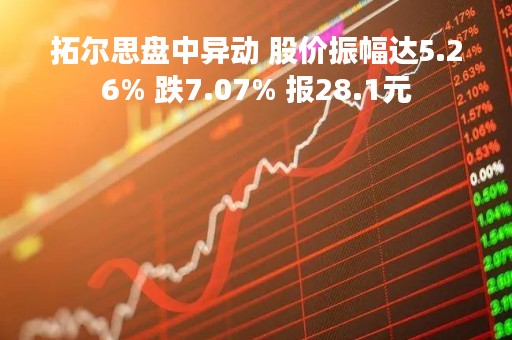 拓尔思盘中异动 股价振幅达5.26% 跌7.07% 报28.1元