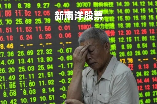 新南洋股票「新南洋股票发行时间」