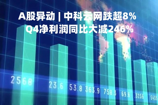 A股异动 | 中科云网跌超8% Q4净利润同比大减246%